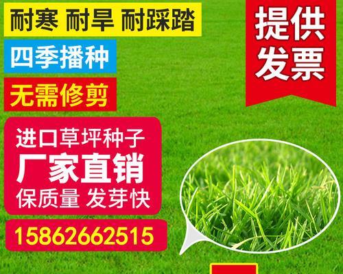 种植狗牙根草籽的关键步骤（了解狗牙根草籽的生长需求，打造种植环境）