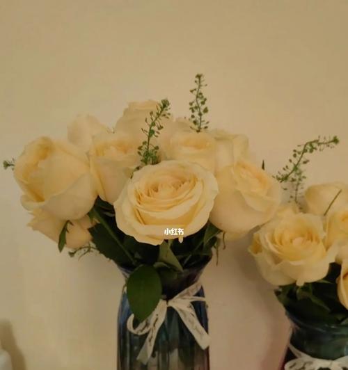 香槟玫瑰花语的寓意（探索这朵花背后隐藏的8个含义）