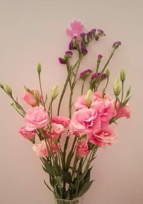 揭秘粉色桔梗花语（娇柔妩媚，意外的意义）