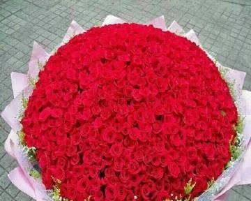 10朵玫瑰花代表什么意思？（揭秘玫瑰花花语，解读玫瑰的隐含含义）