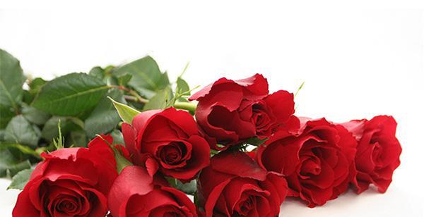 23朵玫瑰花语（探究23朵玫瑰花语的含义与适用场合）