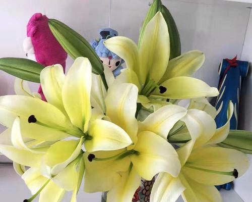 水养百合花的养护方法（从萌芽到绽放，从水分到肥料，全面掌握水养百合的技巧）