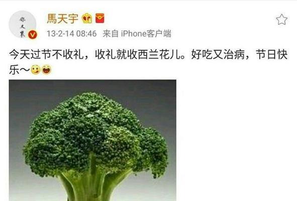 西兰花的花语和寓意（寓意深刻的“花中菜王”，西兰花带给你的启示）