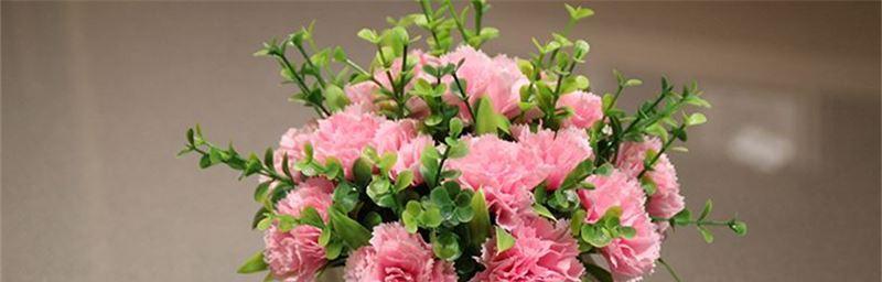 康乃馨之含义（探寻康乃馨花语与文化内涵）