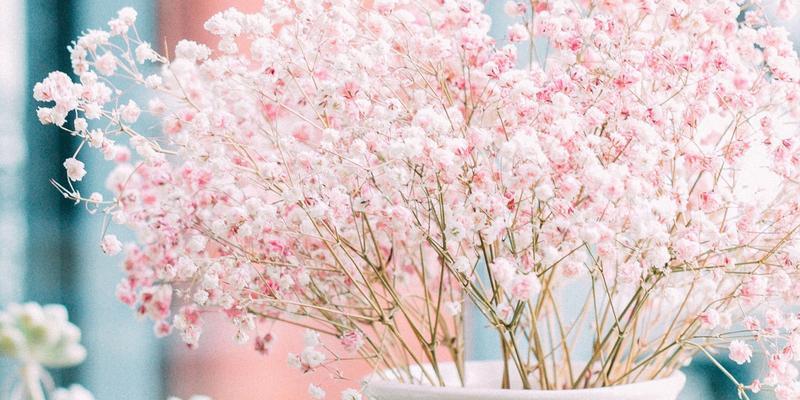 花语中的浪漫——最浪漫的花语是什么（探寻花语背后的爱情密码）
