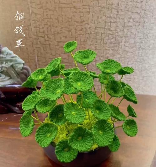 了解铜钱草的象征意义及传达的美好寄语（了解铜钱草的象征意义及传达的美好寄语）