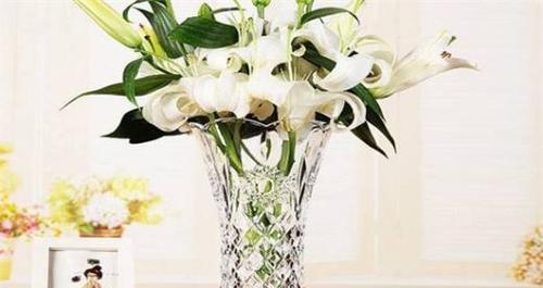 水培百合花的养殖方法（让百合花在水中盛开的关键）