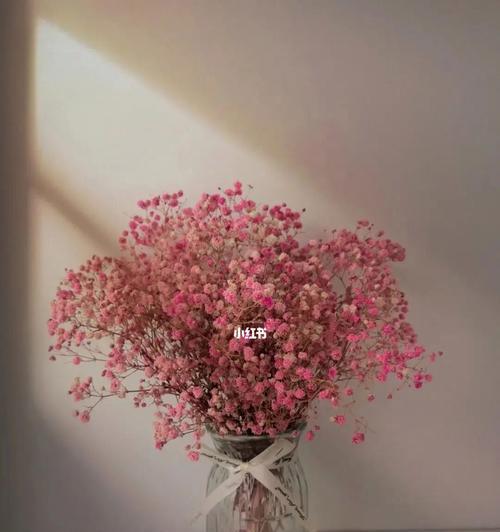 满天星的花语——爱的承诺（用满天星传递你的爱意）