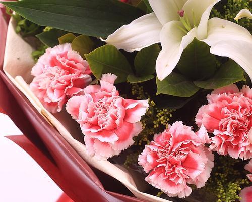 粉色康乃馨的花语（传递爱意、表达感激与祝福）
