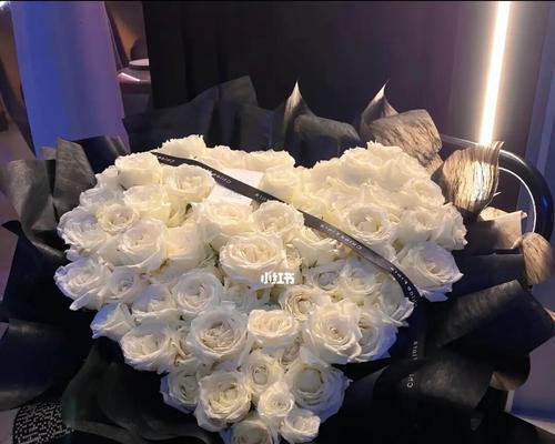 白瑰玫的花语及其意义（探寻白瑰玫的神秘之美）