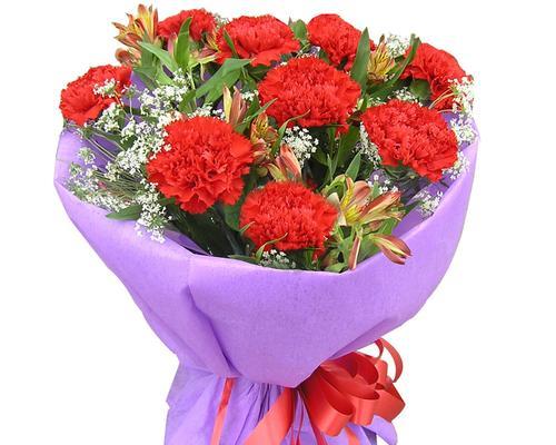 紫色康乃馨的花语与寓意（用花语解读紫色康乃馨的世界）
