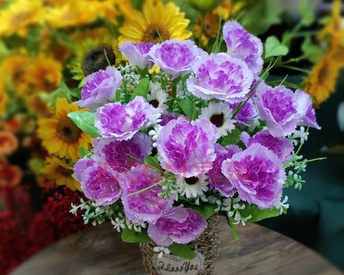 紫色康乃馨的花语与寓意（用花语解读紫色康乃馨的世界）