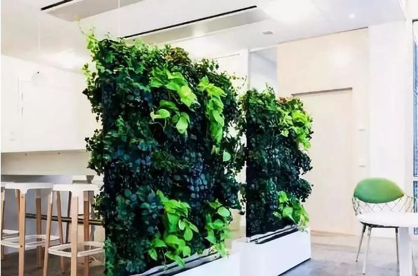 打造理想绿化墙——合适的植物选择（选择适合的植物种类，打造宜人环境）