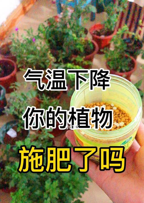 盆栽植物施肥全指南（注意事项、方法和频率一次性告诉你）
