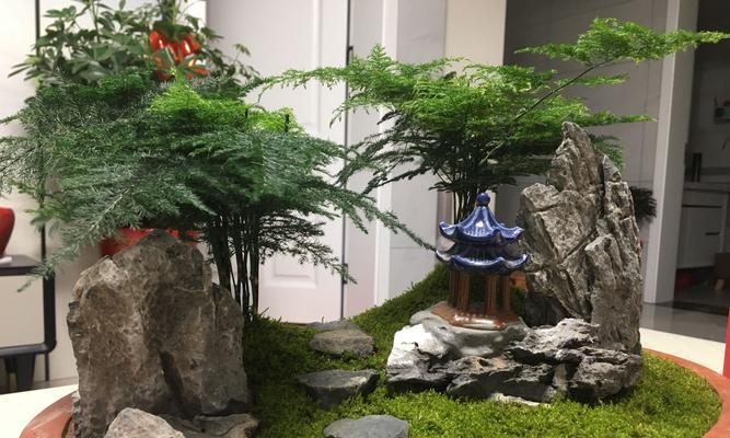 文竹的室内种植方法（打造美丽家居的绿植小精灵）