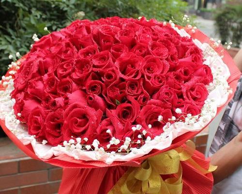 九朵玫瑰花的神秘之意（揭秘九朵玫瑰花的深刻内涵）