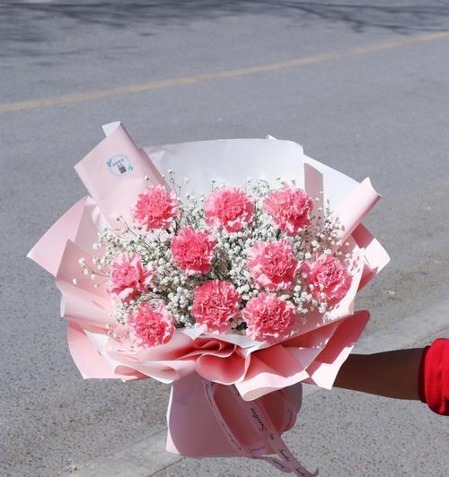 康乃馨的花语与象征意义（探秘康乃馨花的隐含心意）