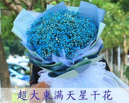 蓝色满天星的花语（蓝色满天星的花语与人们的情感和愿望息息相关）