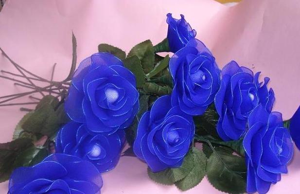 蓝色妖姬花语之美丽与神秘（揭秘蓝色妖姬花的奇妙寓意与魅力）