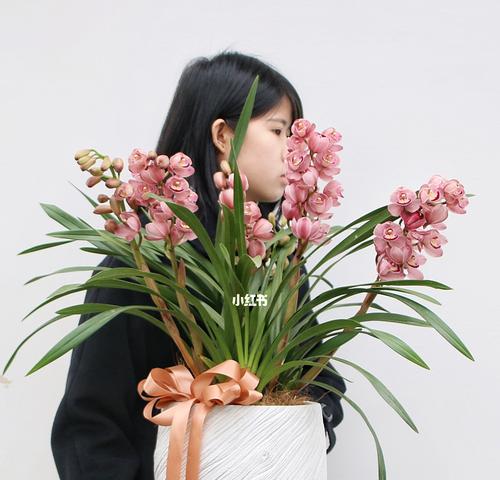 大花蕙兰花谢后的处理方法（花卉养护小技巧，让你的蕙兰焕发生机）