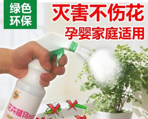 家中花草除虫方法大揭秘（不用杀虫剂，让你的花草远离害虫）