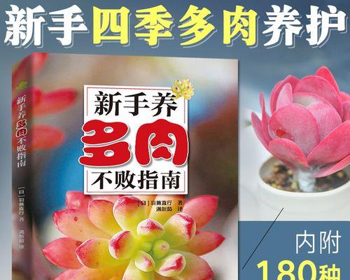 花草种植，从零开始（打造属于自己的小花园）