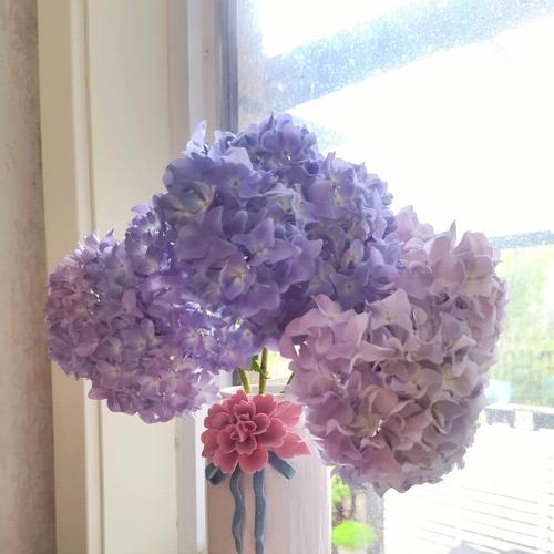 绣球花的插花技巧（让家里更美的绣球花插法，手把手教你如何插花）