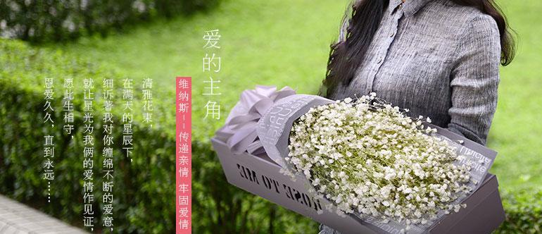 满天星花语致青春（用满天星花语诉说青春的美丽与梦想）
