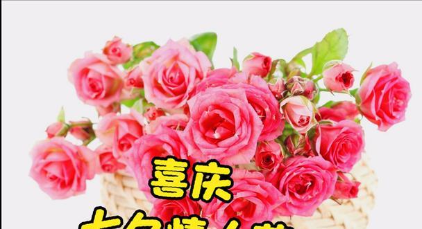 七夕送老婆花的意义与选择（送花不只是表达爱情，更是关心和感恩）