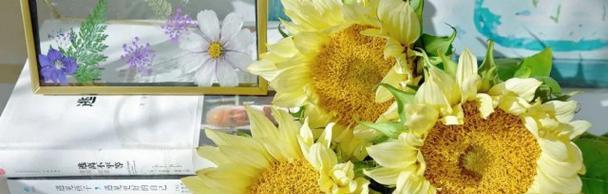《默默守护的爱——以紫丁香花语为主题》（紫丁香，守护着你心底的柔情）