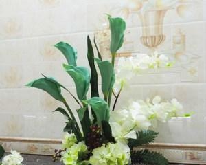 蓝色马蹄莲花之美（探寻蓝色马蹄莲的花语之谜）