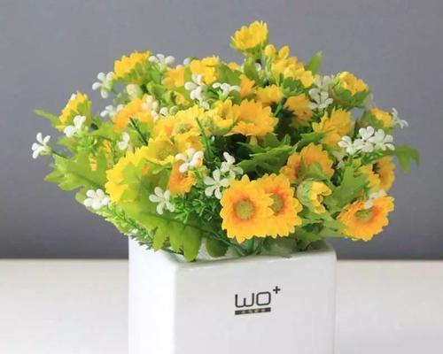 绿色雏菊的花语与寓意（探索绿色雏菊所传达的情感与象征）