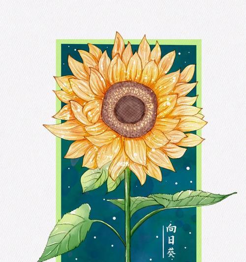 阳光之花（以什么花的花语是向阳而生）