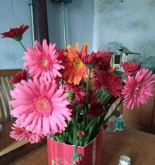 用什么花来传递永远快乐的花语（探索花朵中的快乐密码）