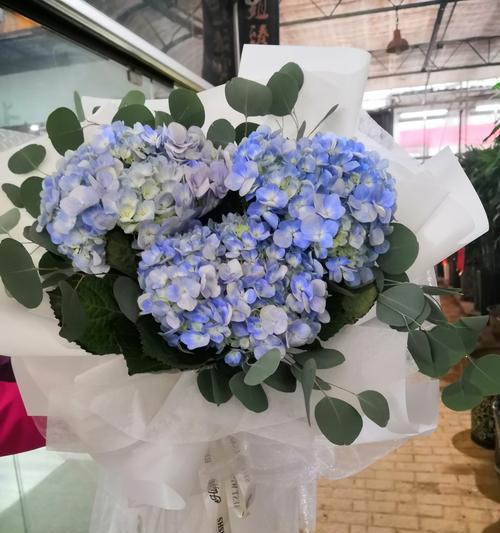 绣球花的花语及其寓意（美丽的绣球花传递的15个寓意）