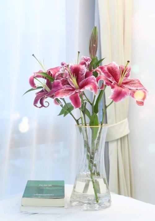 高贵纯洁的花之魅力绽放（以花为媒）