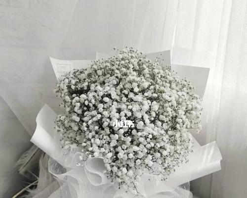 满天星花语——传递爱与美的使者（花开如梦）