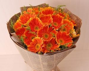 生日适合送什么花（了解象征闺蜜友谊的花）