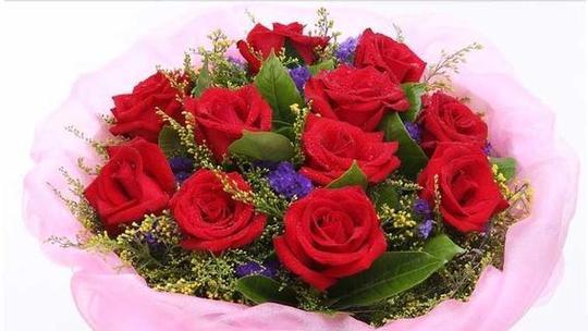 仰慕之花——银皇后的花语（银皇后）