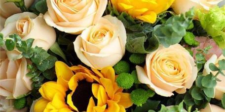 黄玫瑰花的花语与象征意义（黄玫瑰之黄昏）