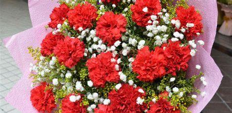 康乃馨花语之爱的祝福（康乃馨的花语及其象征意义）