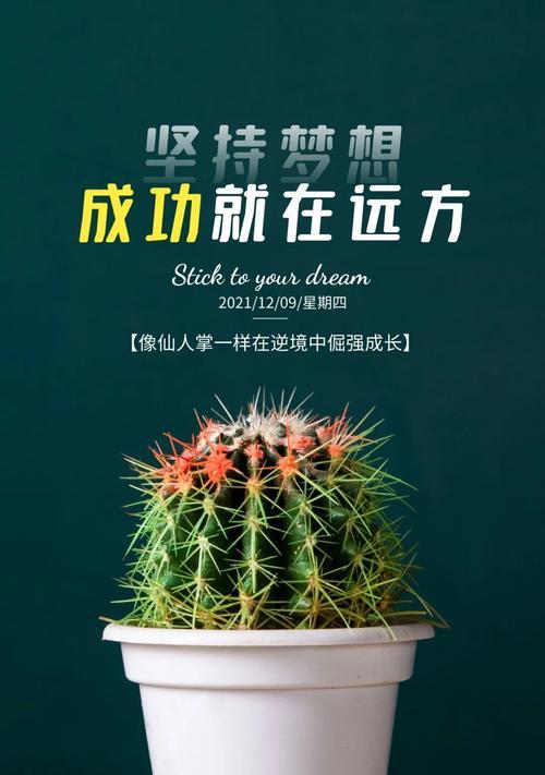 植物中的努力奋斗（以象征努力奋斗的植物为主题的探索）