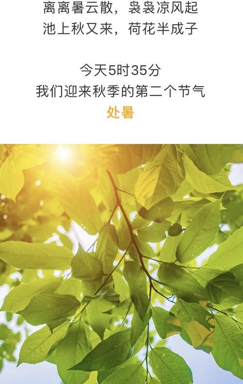 以象征自律的植物为主题的文章（生活中的自律典范及其启示）