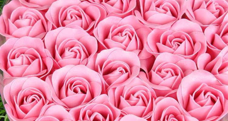 24朵玫瑰花语解读（深入探索24朵玫瑰的各种花语）