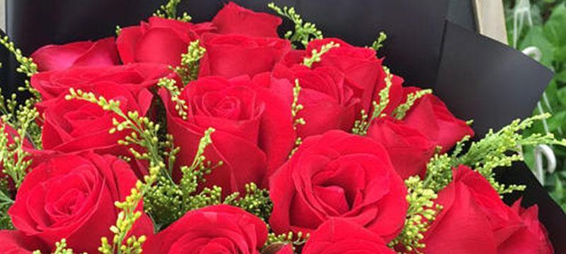 24朵玫瑰花语解读（深入探索24朵玫瑰的各种花语）