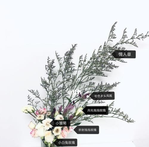 花开寄相思（代表单相思的花——牵念与思念的化身）