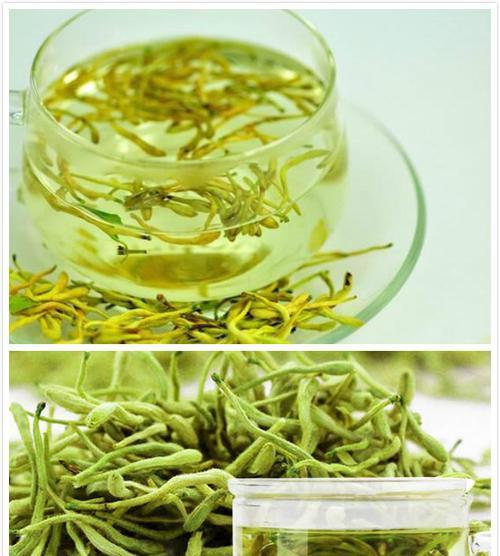 探索禁忌之爱的花（解开禁忌之花的神秘面纱）
