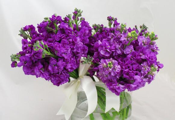 以鲜切花的意义——花语与美的传递（探索鲜切花在人类生活中的重要地位及象征意义）