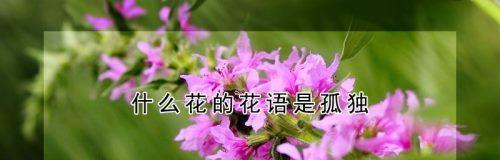 残忍之花（美丽背后的残酷现实）