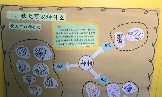 波斯菊种植全攻略（掌握栽种时间和方法）